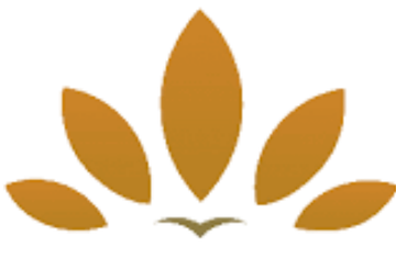 dpr-logo-icon 2